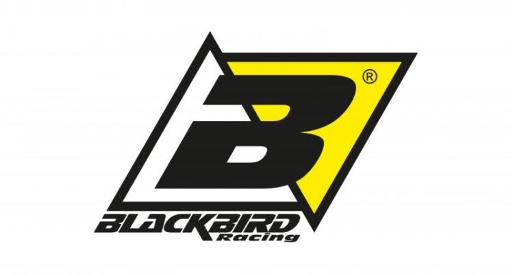 blackbird